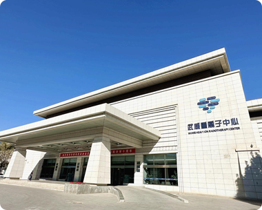 维也纳总医院